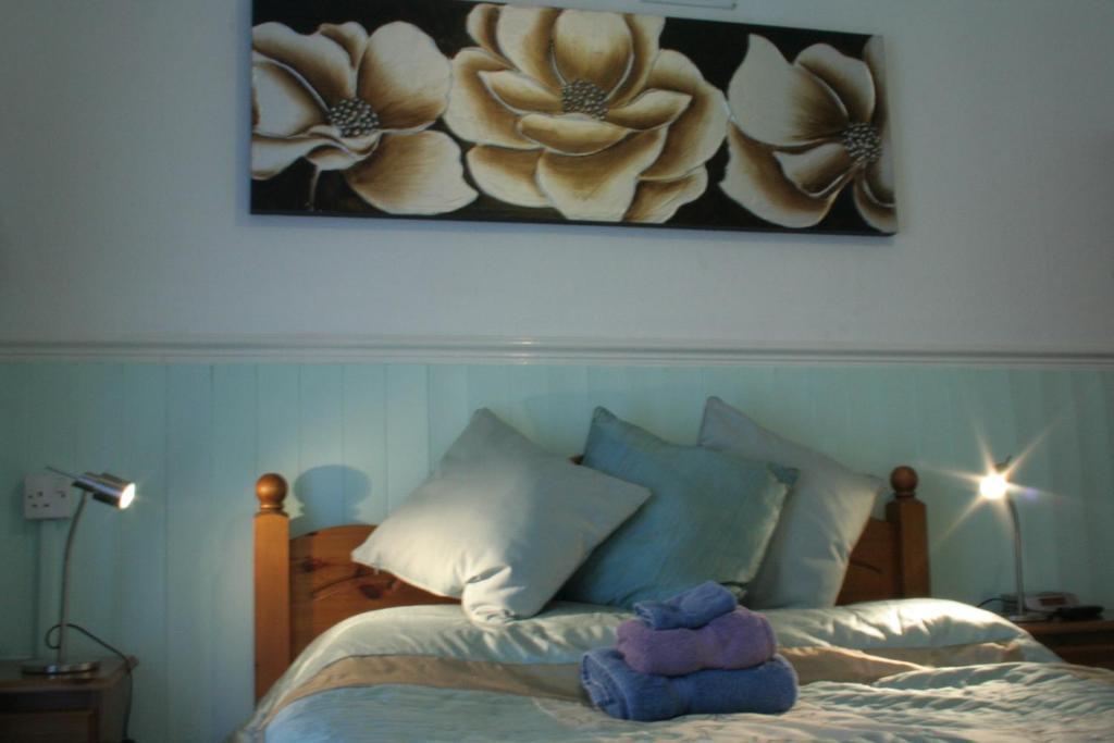 Devon View Guesthouse スウォンジー 部屋 写真